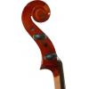 violin: CVi-110(P)