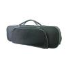 Violin Case: CViC - 002 