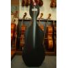 Bam Hightech Compact 1004XL Cello Case Black Lazure(流星黑)