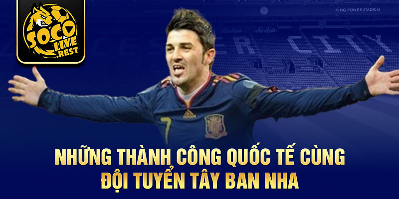 Những thành công quốc tế cùng Đội tuyển Tây Ban Nha